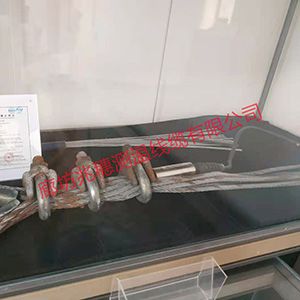 華北煤筒倉測溫電纜