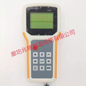 數(shù)字測(cè)溫手持儀銷(xiāo)售